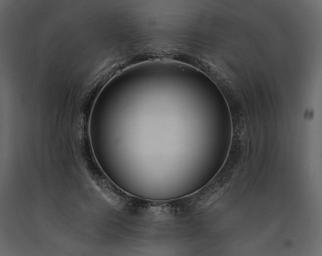 X0000091520744200708241649