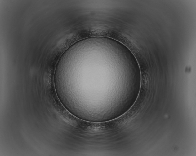 X0000091520745200708241649