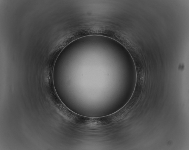 X0000091520746200708241649