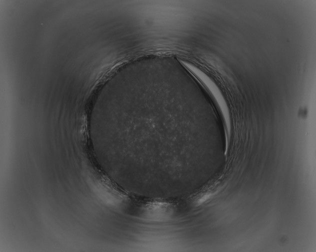 X0000091520748200708241649