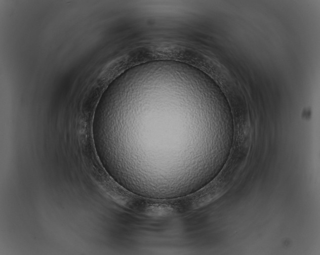 X0000091520749200708241649