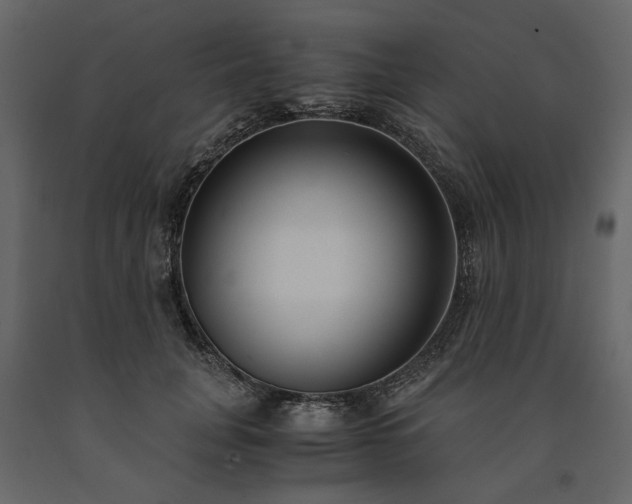 X0000091520751200708241649
