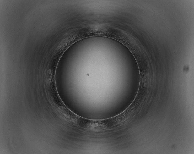 X0000091520752200708241649