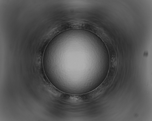 X0000091520753200708241649