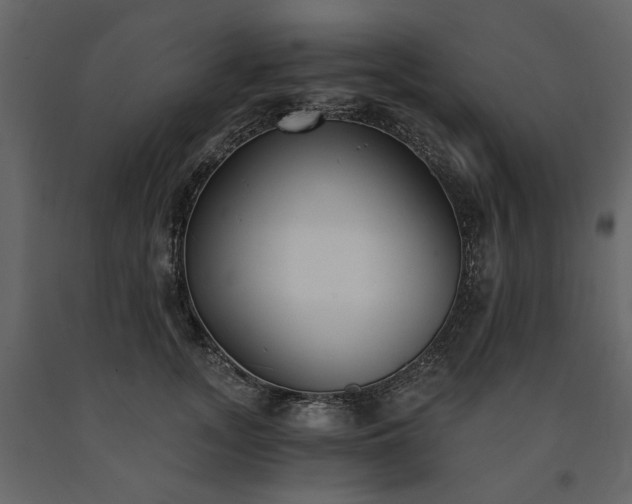 X0000091520755200708241649