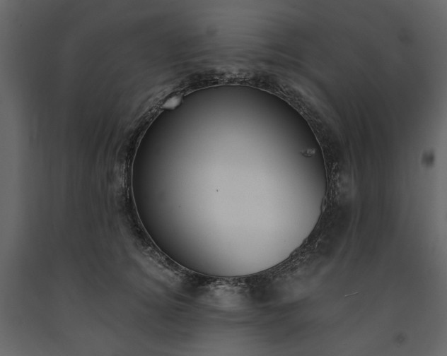 X0000091520756200708241649