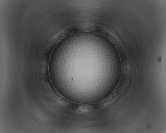 X0000091520757200708241649