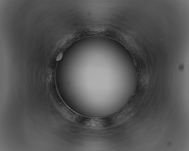 X0000091520758200708241649