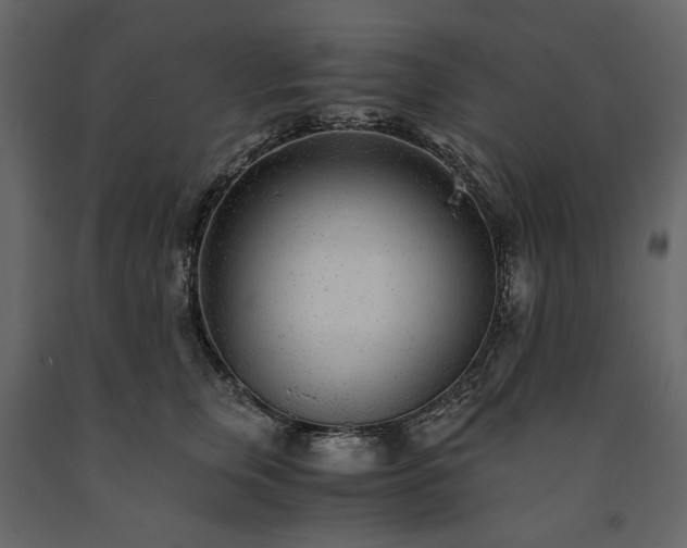 X0000091520759200708241649