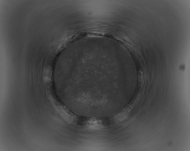 X0000091520760200708241649