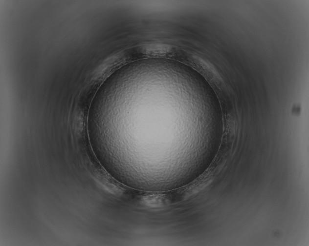X0000091520761200708241649