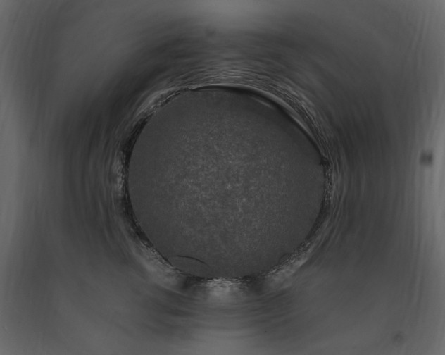 X0000091520762200708241649