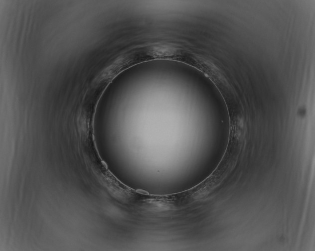 X0000091520763200708241649