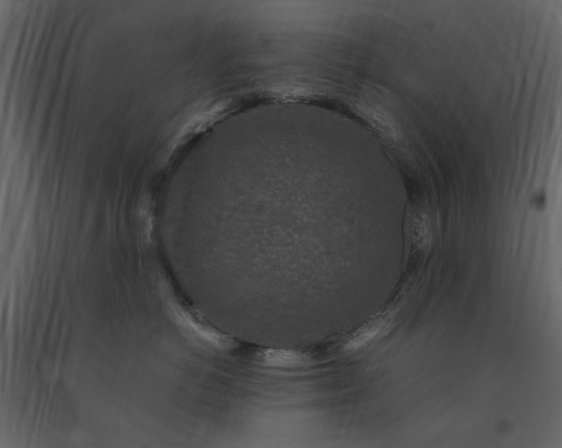 X0000091520766200708241650