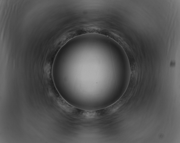 X0000091520767200708241650