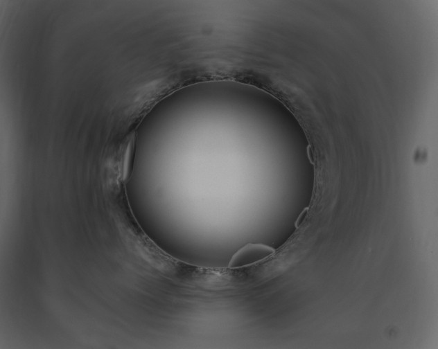 X0000091520768200708241650