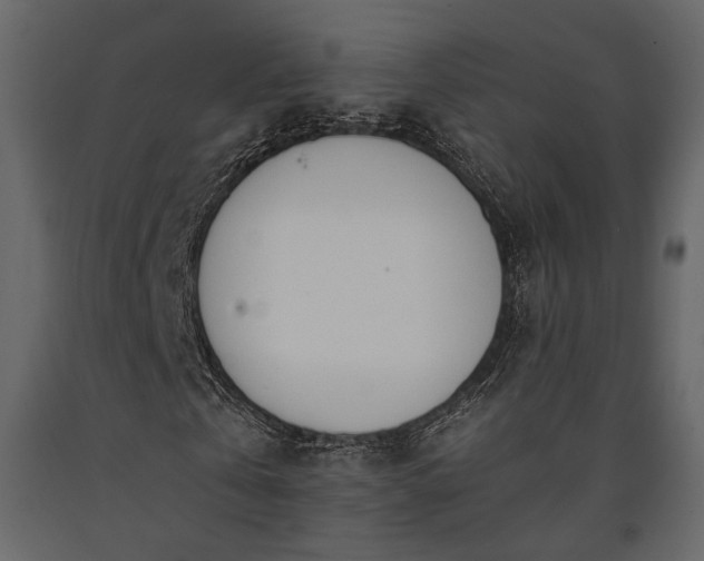 X0000091520769200708241649
