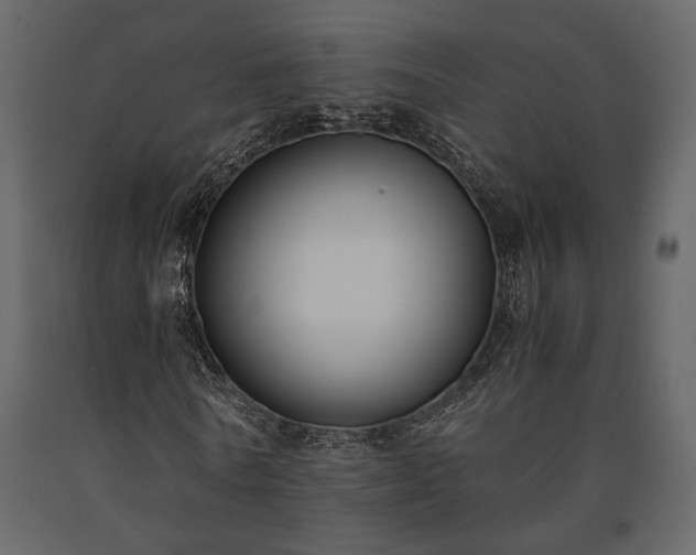 X0000091520770200708241649