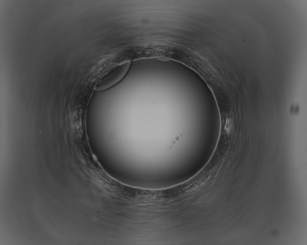 X0000091520771200708241649
