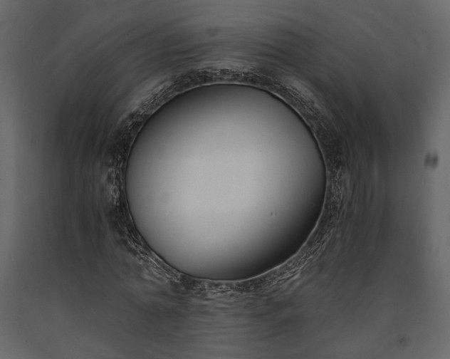 X0000091520774200708241649
