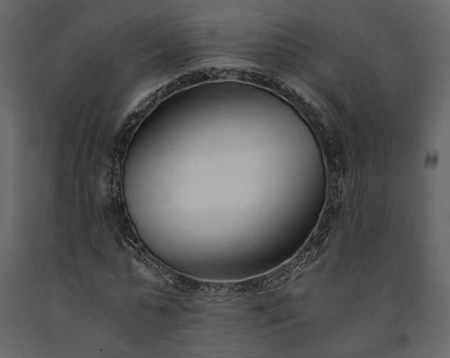 X0000091520775200708241649