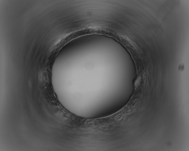 X0000091520776200708241649
