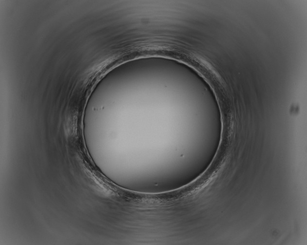 X0000091520777200708241649