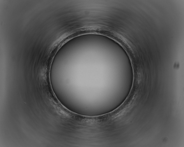 X0000091520778200708241649