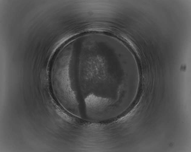 X0000091520779200708241649