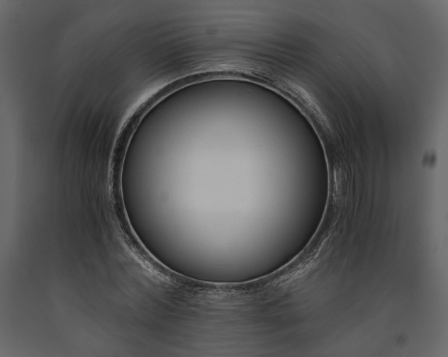 X0000091520780200708241649