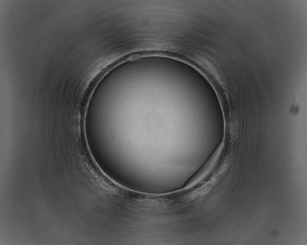 X0000091520781200708241649