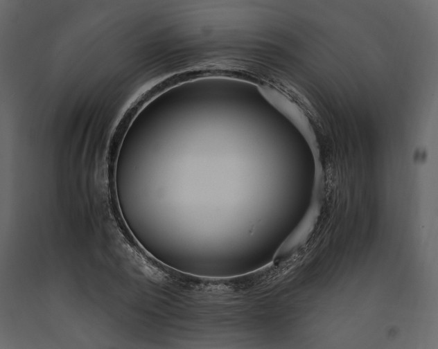 X0000091520784200708241649