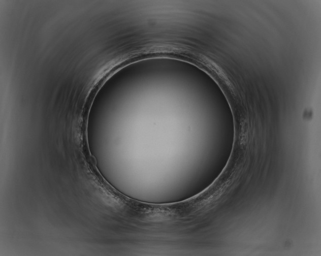 X0000091520786200708241649