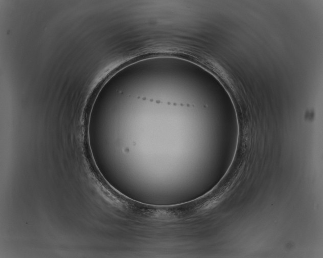 X0000091520787200708241649