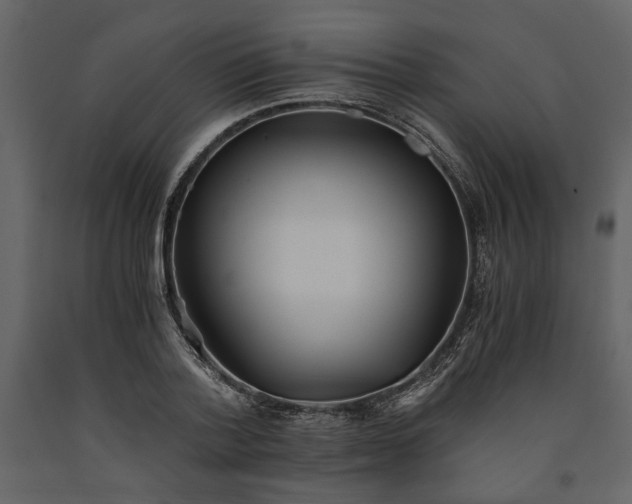 X0000091520788200708241649
