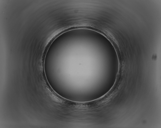 X0000091520789200708241649