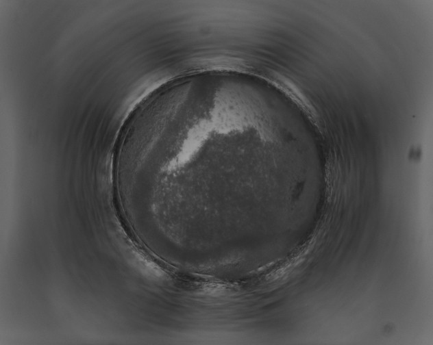 X0000091520790200708241649