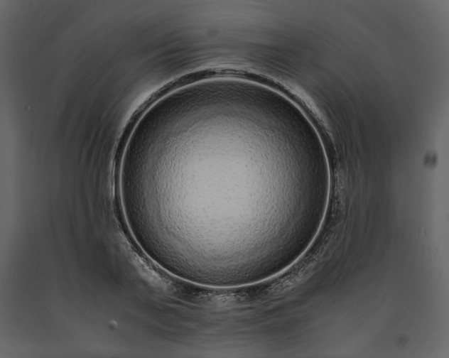 X0000091520791200708241649