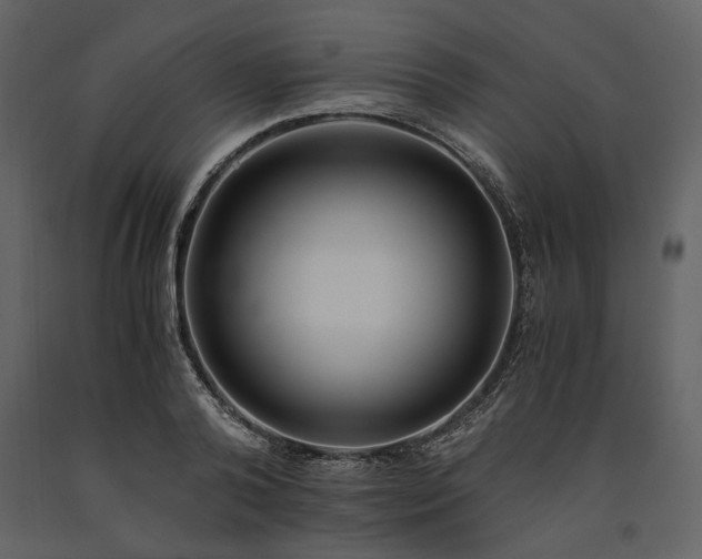 X0000091520792200708241649