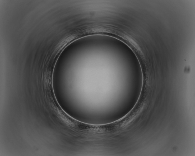 X0000091520793200708241649