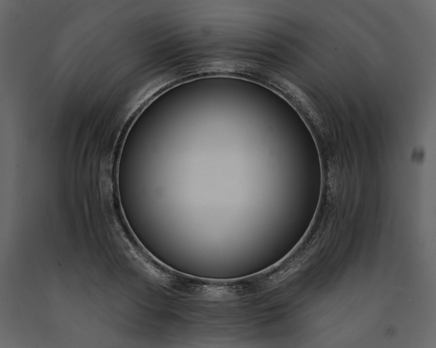 X0000091520794200708241649