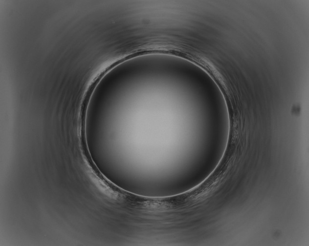 X0000091520795200708241649