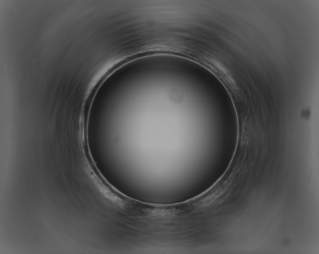 X0000091520796200708241649