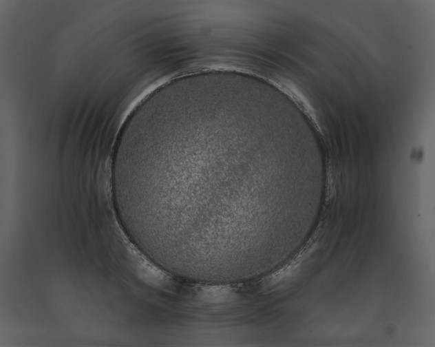 X0000091520798200708241649