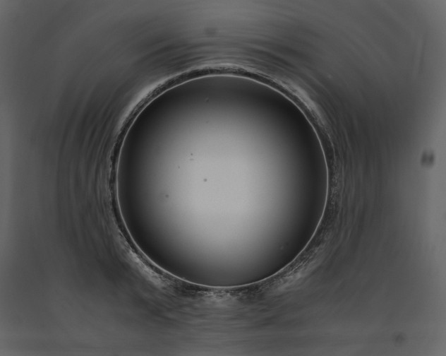 X0000091520799200708241649