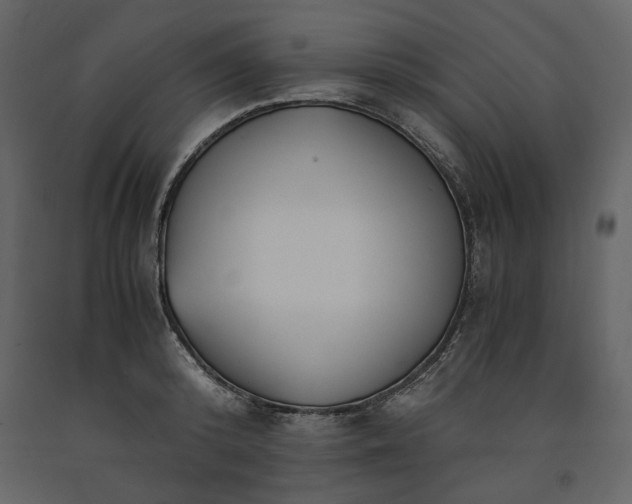 X0000091520800200708241649