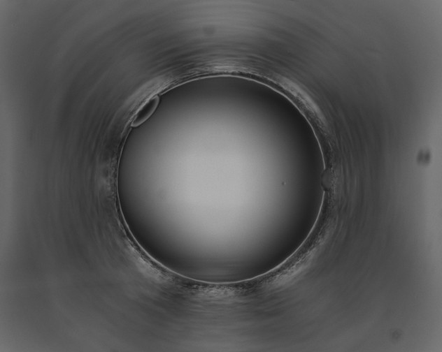 X0000091520801200708241649