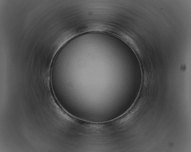 X0000091520802200708241649