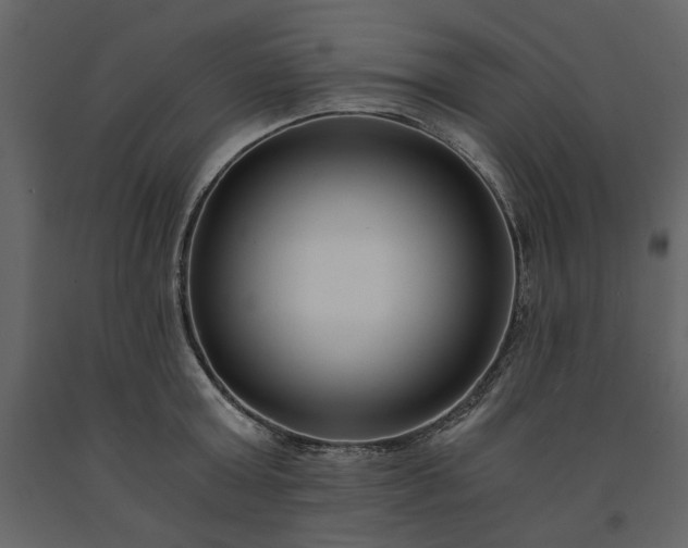 X0000091520803200708241649