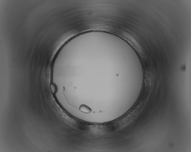 X0000091520804200708241649